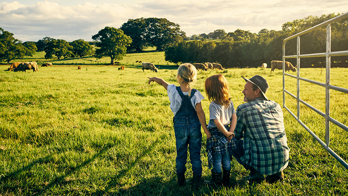 標(biāo)準(zhǔn)家庭農(nóng)場(chǎng)方案